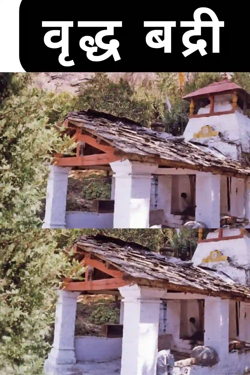 वृद्ध बद्री